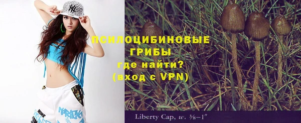 героин Покачи