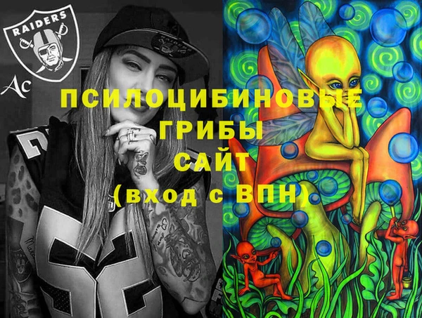 Альфа ПВП Баксан