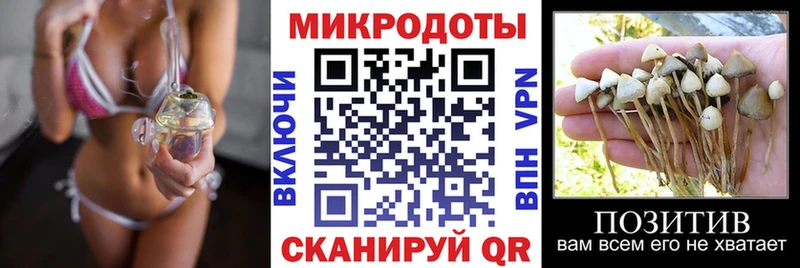 где купить наркоту Карачев гидра зеркало Галлюциногенные грибы MAGIC MUSHROOMS
